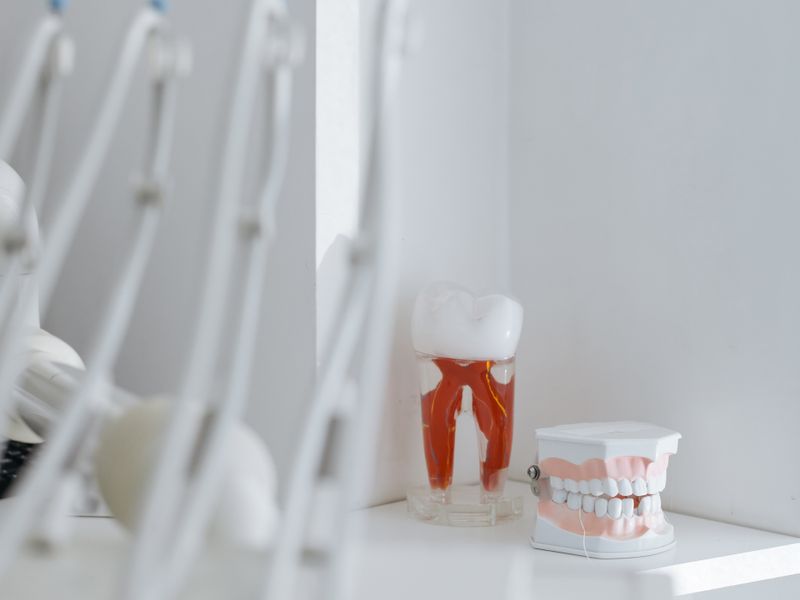 Root canal tooth model